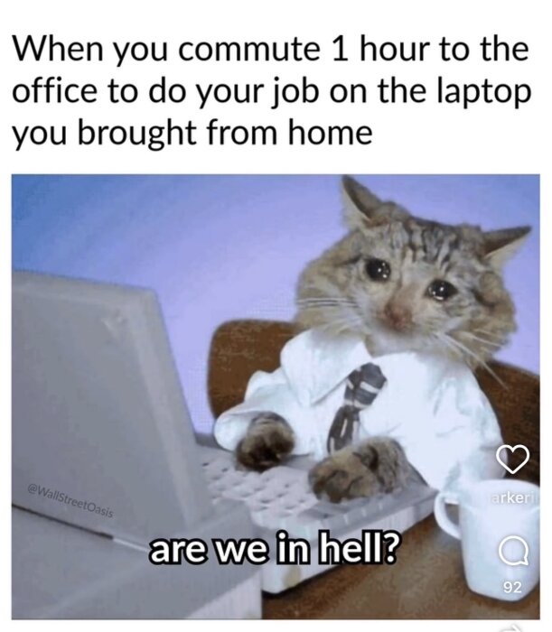 En katt i skjorta och slips sitter vid en laptop med en kaffeskräm bredvid, text säger "are we in hell?