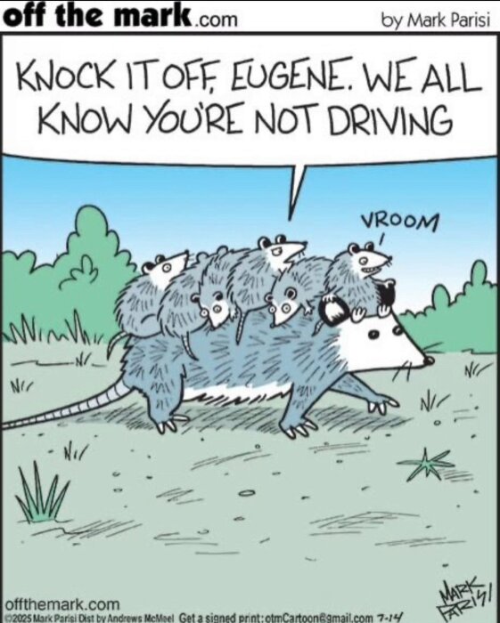 Tecknad opossum bär flera ungar på ryggen. En talande bula säger "Vroom", medan en annan text läser: "Knock it off, Eugene. We all know you’re not driving.