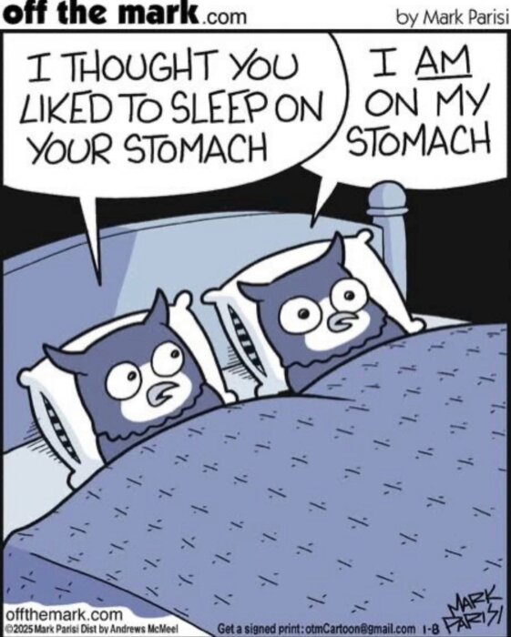 Två tecknade ugglor ligger i sängen. En uggla säger "I thought you liked to sleep on your stomach" medan den andra svarar "I am on my stomach".