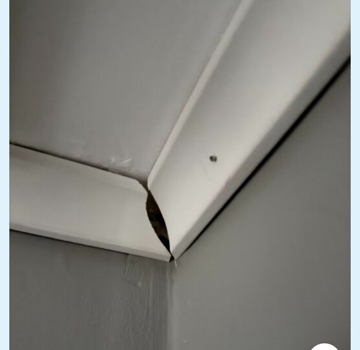 Hörnet av en vägg med en vit hålkälslist som släpper från väggen och taket.