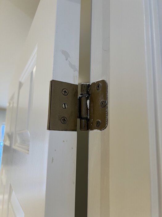 Dörrgångjärn på en vit dörrkarm med synliga skruvar, sökes i krom, förnicklat eller vitt, fästbrickor 65 mm höga.
