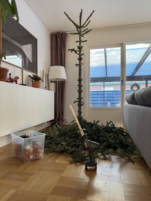 Nedmonterad gran med grenar på golvet, såg och låda med juldekorationer intill, i ett vardagsrum med trägolv och fönster.