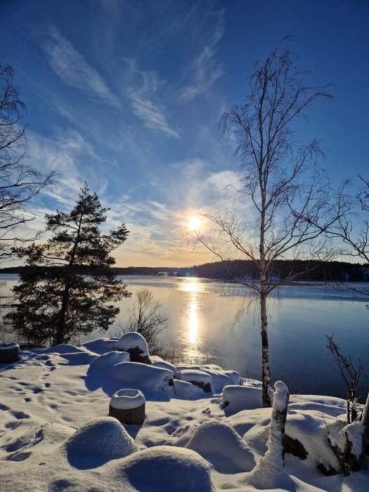 Snöklädd strand vid Mälarens sjö, solnedgång över isen, träd i förgrunden, klart vintersky.