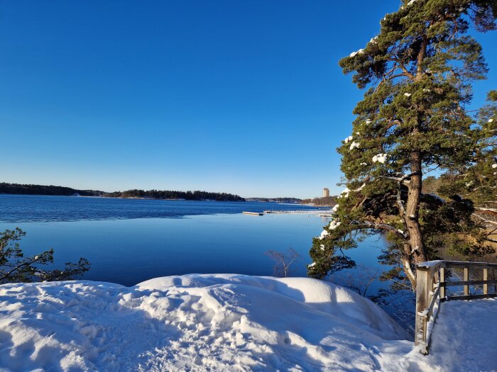 Vy över Mälarens strand i vinterlandskap med snö och is, solig dag i Stockholmsförort, träd vid vattnet.