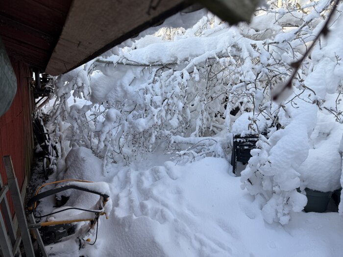 Snötäckta träd blockerar en vedhög bredvid en röd byggnad. En snötäckt maskin och stege syns i förgrunden.