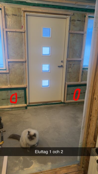 Vit dörr med fyra glasrutor, trä- och isoleringsväggar. Vit katt på grått betonggolv. Text visar eluttagens platser.