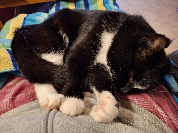 Svartvit katt sover på en färgglad filt.