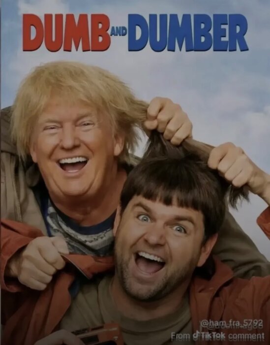 Två personer poserar under texten "Dumb and Dumber," en drar den andres hår, båda skrattar. Bakgrund av blå himmel.