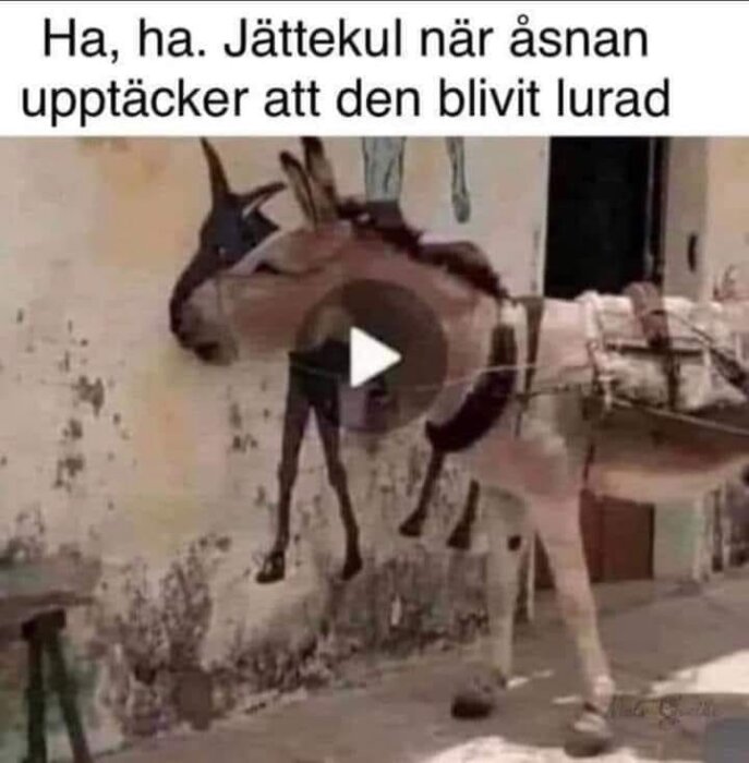 Åsna står vid en vägg med en teckning av en åsna, vilket ger en humoristisk illusion av att huvudet är utlurad.