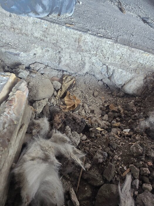 Gammalt hus där golvet är uppbrutet, visar isolering av glasfiber och sandig jord ovanpå betongbjälklaget i ett pågående renoveringsprojekt.
