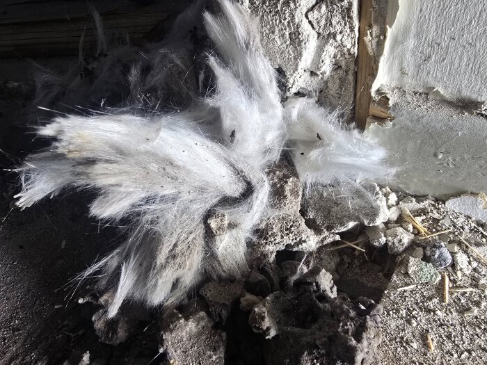 Rester av gammal isolering och byggmaterial under ett trägolv, inklusive glasfiber och murbruk, upplyst och delvis sönderbrutet.