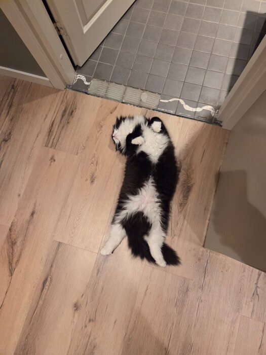 Svartvit katt liggande upp och ner på ett golv bredvid ett rum med kakelplattor.