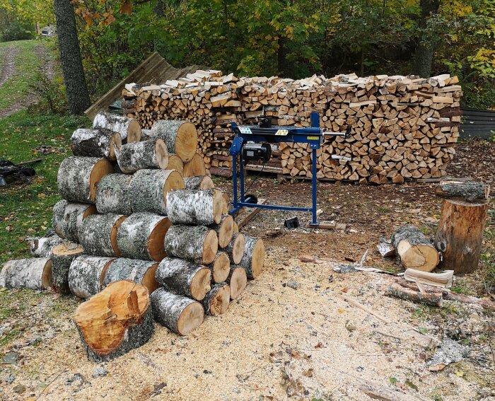 Staplad ved framför skog, med en vedklyv i blått. I förgrunden syns kapade björkstammar och sågspån på marken.