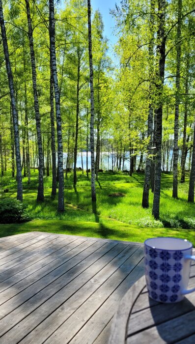 Kaffekopp på altan med utsikt över grönskande björkskog och sjö i bakgrunden en solig dag.