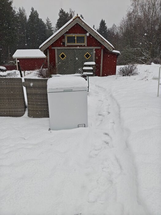 Frysbox utomhus i snötäckt trädgård med rött förråd i bakgrunden.