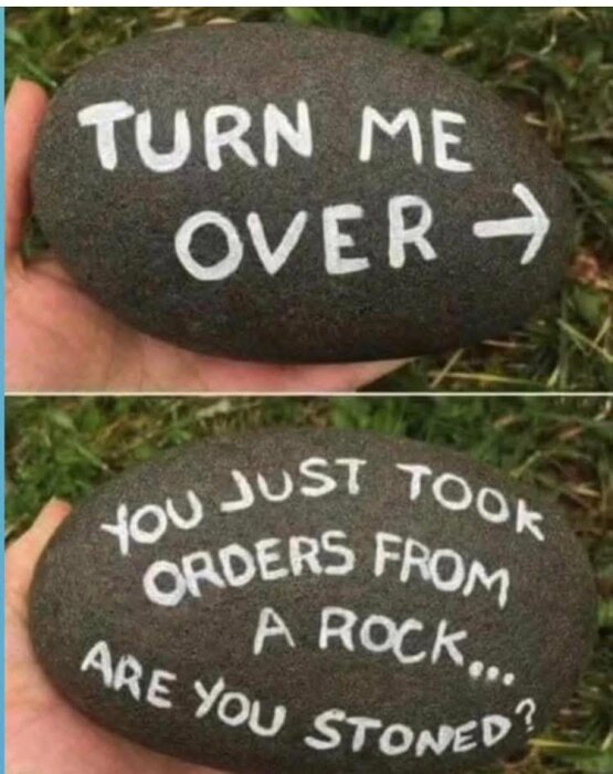 En hand håller en oval sten med texten "TURN ME OVER" ovanpå, och texten "YOU JUST TOOK ORDERS FROM A ROCK... ARE YOU STONED?" undertill.