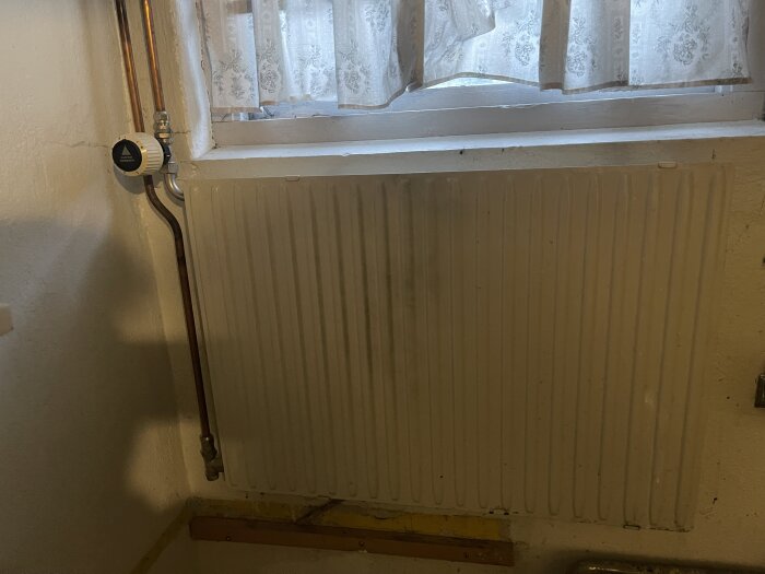Radiator i tvättstugan med kopparrörsanslutning och termostat, vit vägg och spetsgardin ovanför, belysning från höger.