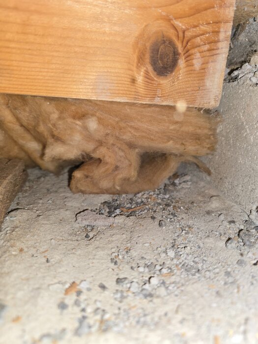 Närbild av källargolv med spånplattor och träbalk. Isolering syns under trä, omgiven av betongdamm. Inga synliga tecken på mögel.