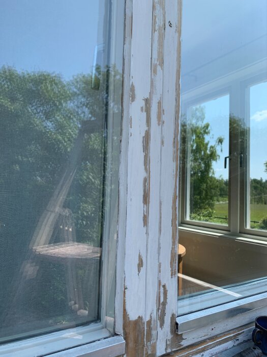 Avskalat och delvis ommålat fönsterkarm med slitna foder, omgivande natur och interiör reflekteras i glaset.