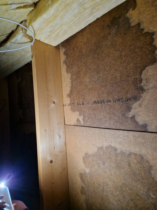 Masonitskivor med fuktfläckar och tecken på svampväxt i kattvind, träbjälkar och isolering synliga, ljus från ficklampa lyser upp.