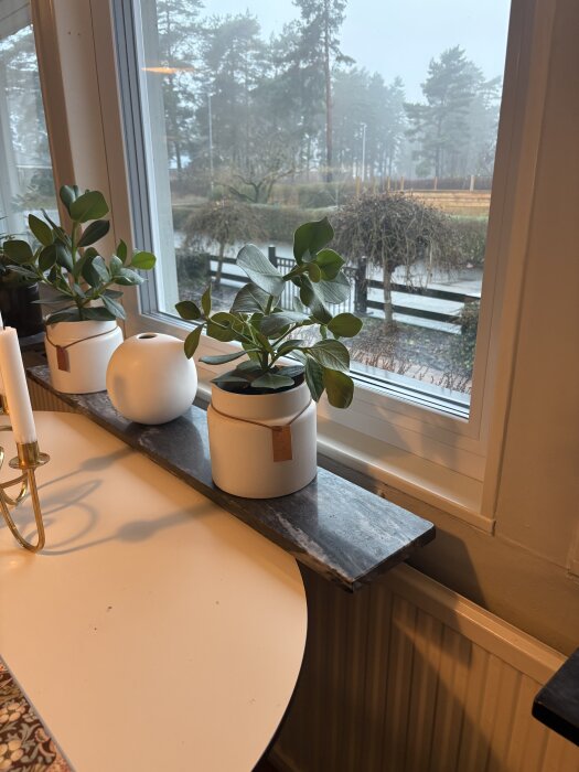 Gamla marmor-fönsterbänkar med krukväxter och ljusstake i interiör, fönster med utsikt över en dimmig trädgård.