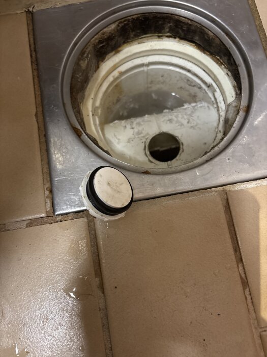 Avloppsbrunn med en löstagen gummipackning bredvid, omgiven av kakel och rostfri metall.