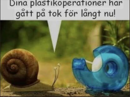 En snigel talar till en blå tejprulle med texten "Dina plastikoperationer har gått på tok för långt nu!" i en skämtsam bild.