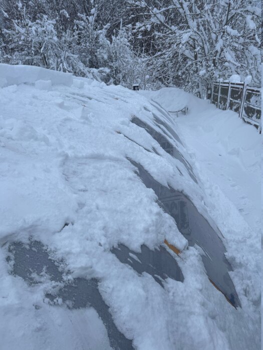 pooltak.jpg