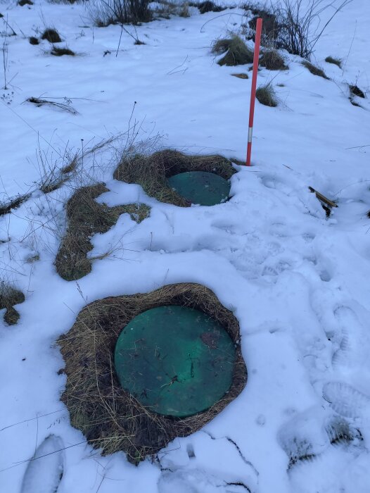 Två gröna avloppslock av glasfiber omgivna av snö och gräs, markerade med en röd pinne. Omgivande mark är förhöjd.