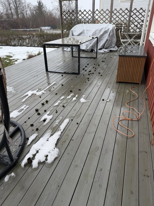 Mossbitar ligger utspridda på en altan, omgiven av snö och möbler. En orange sladd syns på golvet, och en del av ett bord med överdrag är i bakgrunden.