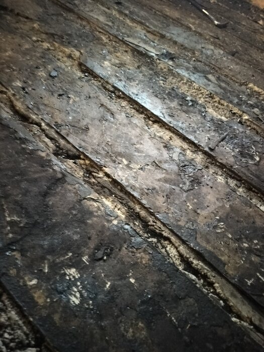 Rostiga, ingjutna träreglar med asfalt/tjära tätskikt på en betongyta i en källare under renovering.