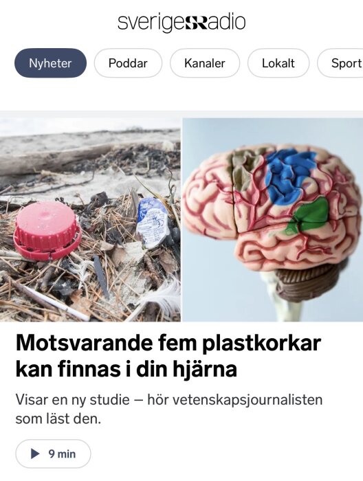 Plastskräp med en plastkork och modell av en hjärna med färgade sektioner, från Sveriges Radio.