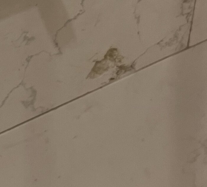 Kalkstensplattor med frätskador och missfärgade urgröpningar på en badrumsvägg.