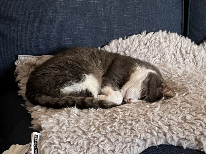 Katt sover ihopkurad på en beige, lurvig filt på en soffa.