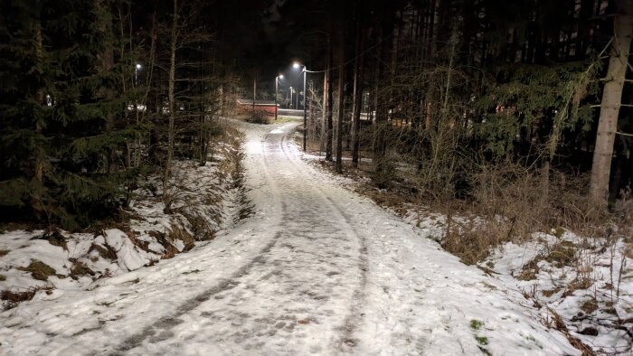 Snöig skogsstig upplyst av gatlampor på kvällen, omgiven av träd och buskar.