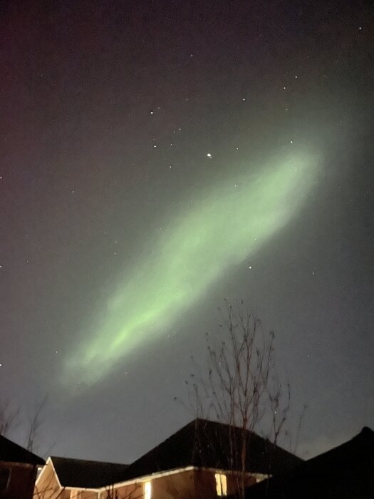 Norrsken över hus och träd under nattlig himmel i Hereford, England.
