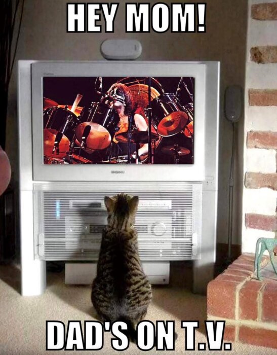 Katt sitter framför TV och tittar på en musiker som spelar trummor. Texten ovan och under TV-skärmen säger: "HEY MOM! DAD'S ON T.V.