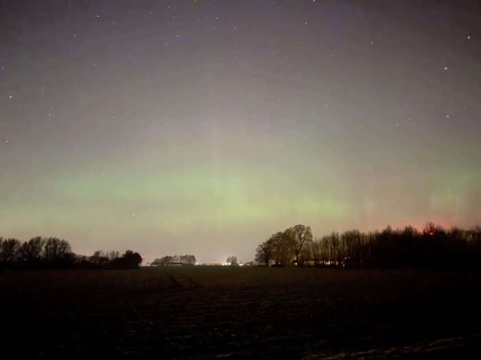 Svagt norrsken över Lundaslätten med stjärnklar himmel och mörka silhuetter av träd och landskap i förgrunden.