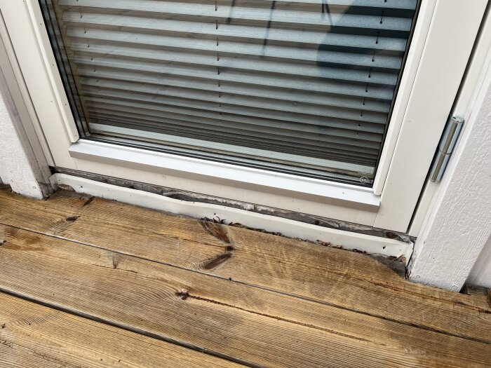 Ytterdörr med glasfönster och persienner, trätrall synligt framför samt skador vid dörrens nederkant.