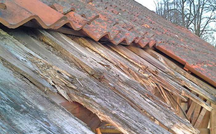 20140401_192920.jpg