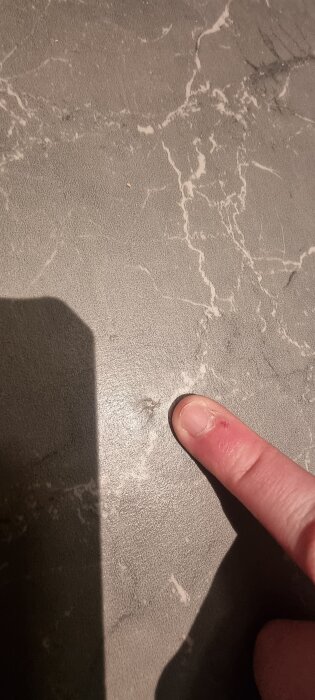 20260122_232045.jpg