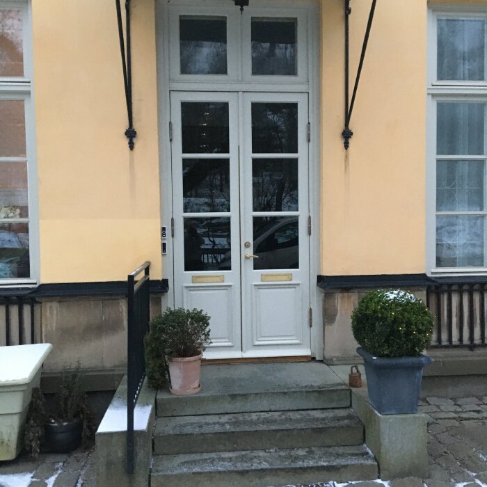 Vit dubbeldörr i trä med glasrutor och två krukor på trappa framför ett gulmålat hus.
