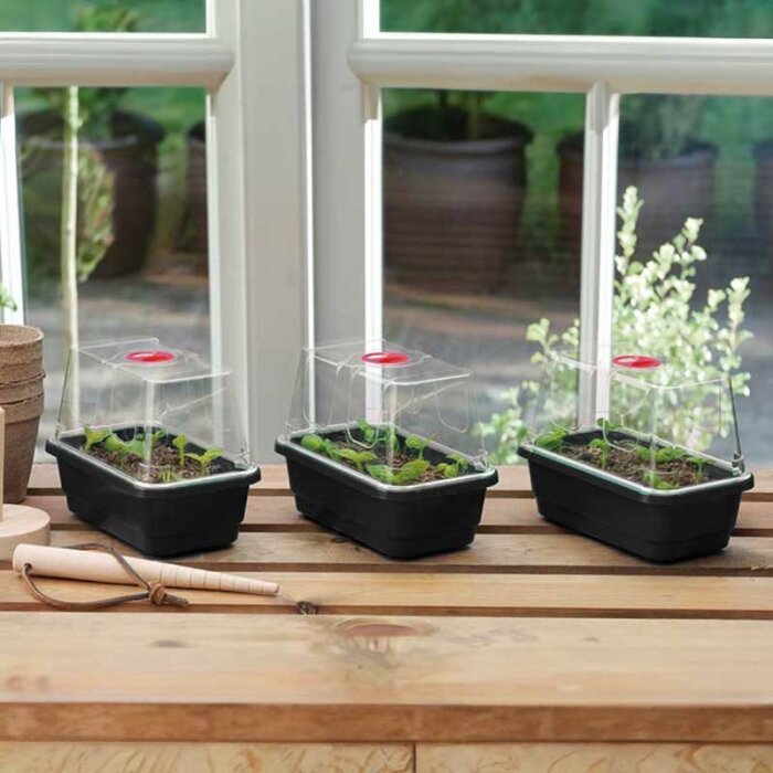 Små växthus med plantor i krukor på bord vid fönster, omgivna av odlingsutrustning.