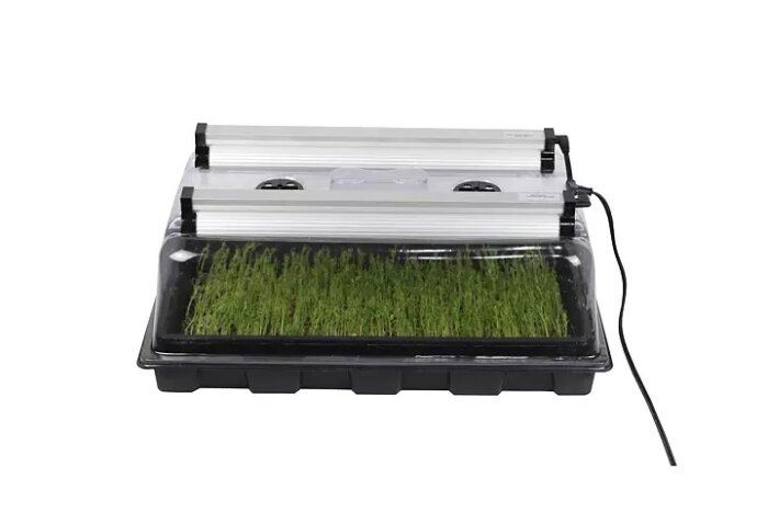 Miniväxthus med LED-lampor och gröna plantor i svart bricka, idealiskt för inomhusodling och förökning av växter.