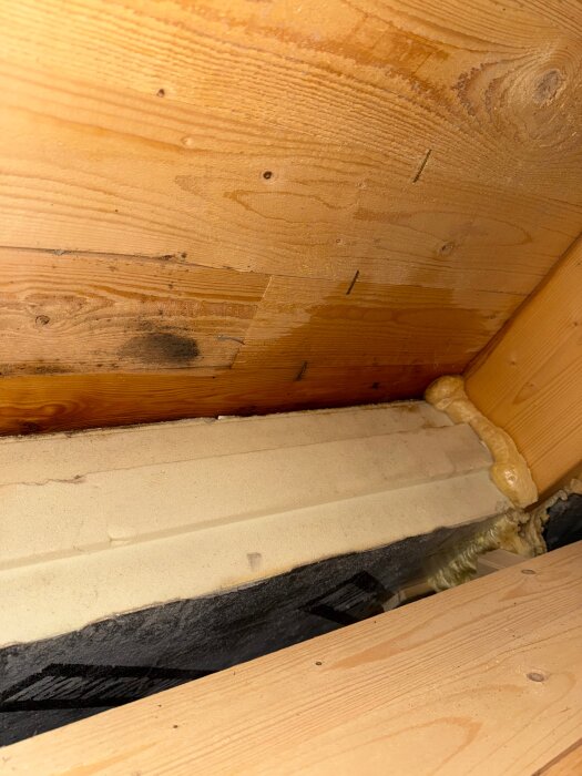 Fuktig råspont med svartmögelfläckar och gul isolering syns ovanför en del av taket, nära takfönstrets bockade kant.