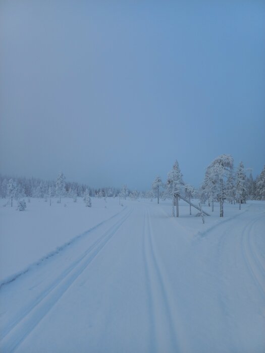 Spår i snötäckt landskap med frostiga träd i bakgrunden under en klar, kall vinterdag.