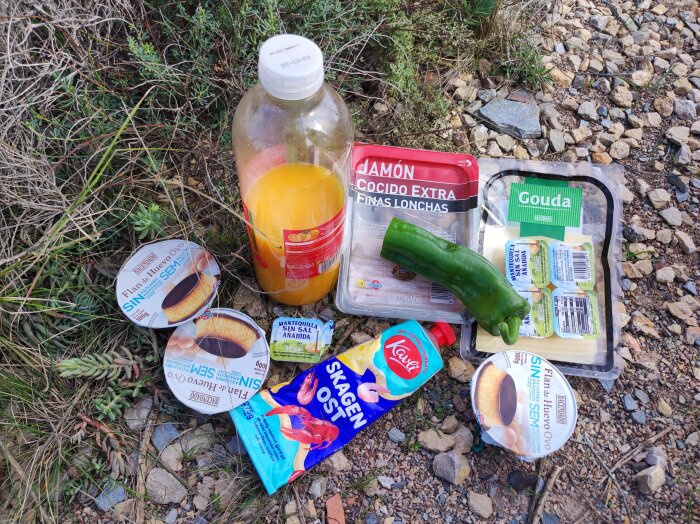 Olika livsmedel placerade pÄ marken, inklusive flan, apelsinjuice, skinka, ost, smör, en grön paprika och en tub Skagenost.