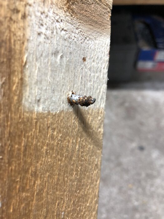 Rostig skruv delvis utdragen från en träplanka, visar skadebilden efter bräda föll från väggen i snickeri/förråd.