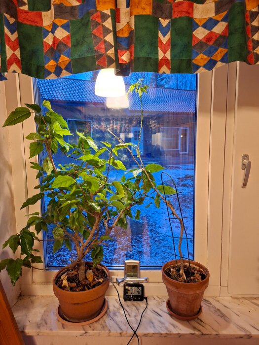 Krukväxter på fönsterbräda med mätinstrument vid fönster; bakom ses ett snötäckt tak.