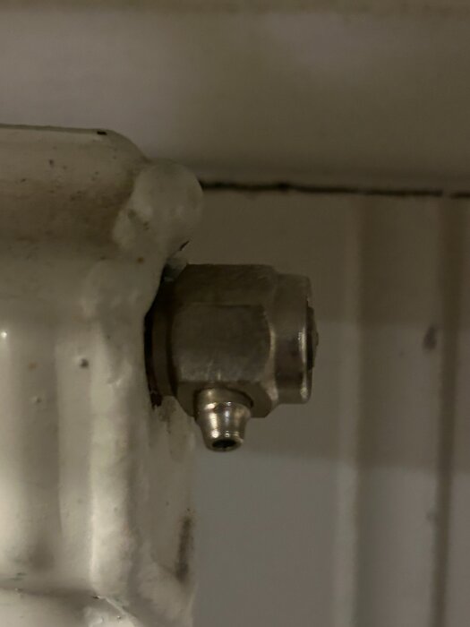 Luftningsnippel på element, potentiellt läckande.